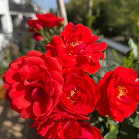 Centrum Wlodarzewska 30 Lägenhet *